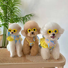 画像をギャラリービューアに読み込む, ペット着用服-猫用犬用 可愛い - 一緒に出かけよう!02