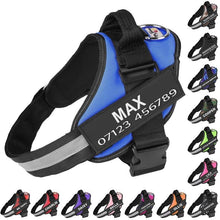画像をギャラリービューアに読み込む, 名入れペットハーネス - 猫用犬用 - 一緒に出かけよう!