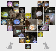 画像をギャラリービューアに読み込む, お写真入り散歩映画ランプ♪カスタマイズペット用品