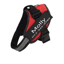 画像をギャラリービューアに読み込む, 名入れペットハーネス - 猫用犬用 - 一緒に出かけよう!