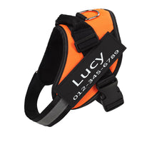 画像をギャラリービューアに読み込む, 名入れペットハーネス - 猫用犬用 - 一緒に出かけよう!