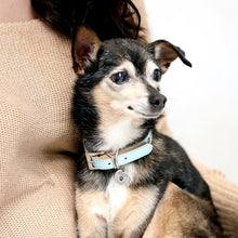 画像をギャラリービューアに読み込む, 両面印刻✨ペットの写真で作る迷子札・ネームタグ 名入れ