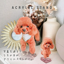画像をギャラリービューアに読み込む, うちの子写真による作成 アクリルスタンド✨カスタムギフト