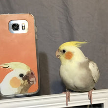 画像をギャラリービューアに読み込む, 【透明】【油絵】 うちの子たちがいるあなたに最適なオリジナルスマホケース 人の顔も可♪ iPhone/Samsung/Xperia/AQUOS/Huawei/Google