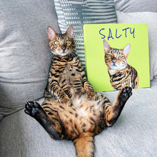 画像をギャラリービューアに読み込む, あなたのペットを世界に1つだけのアート作品に♪ ペット似顔絵イラスト