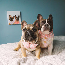 画像をギャラリービューアに読み込む, あなたのペットを世界に1つだけのアート作品に♪ ペット似顔絵イラスト