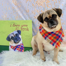 画像をギャラリービューアに読み込む, あなたのペットを世界に1つだけのアート作品に♪ ペット似顔絵イラスト