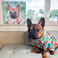 画像をギャラリービューアに読み込む, あなたのペットを世界に1つだけのアート作品に♪ ペット似顔絵イラスト