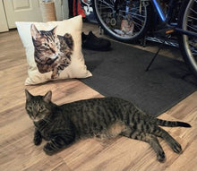 画像をギャラリービューアに読み込む, ペットの似顔絵クッション♪ オーダーメイド★ 犬•猫•ウサギ•小動物 【両面印刷】