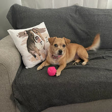 画像をギャラリービューアに読み込む, ペットの似顔絵クッション♪ オーダーメイド★ 犬•猫•ウサギ•小動物 【片面印刷】