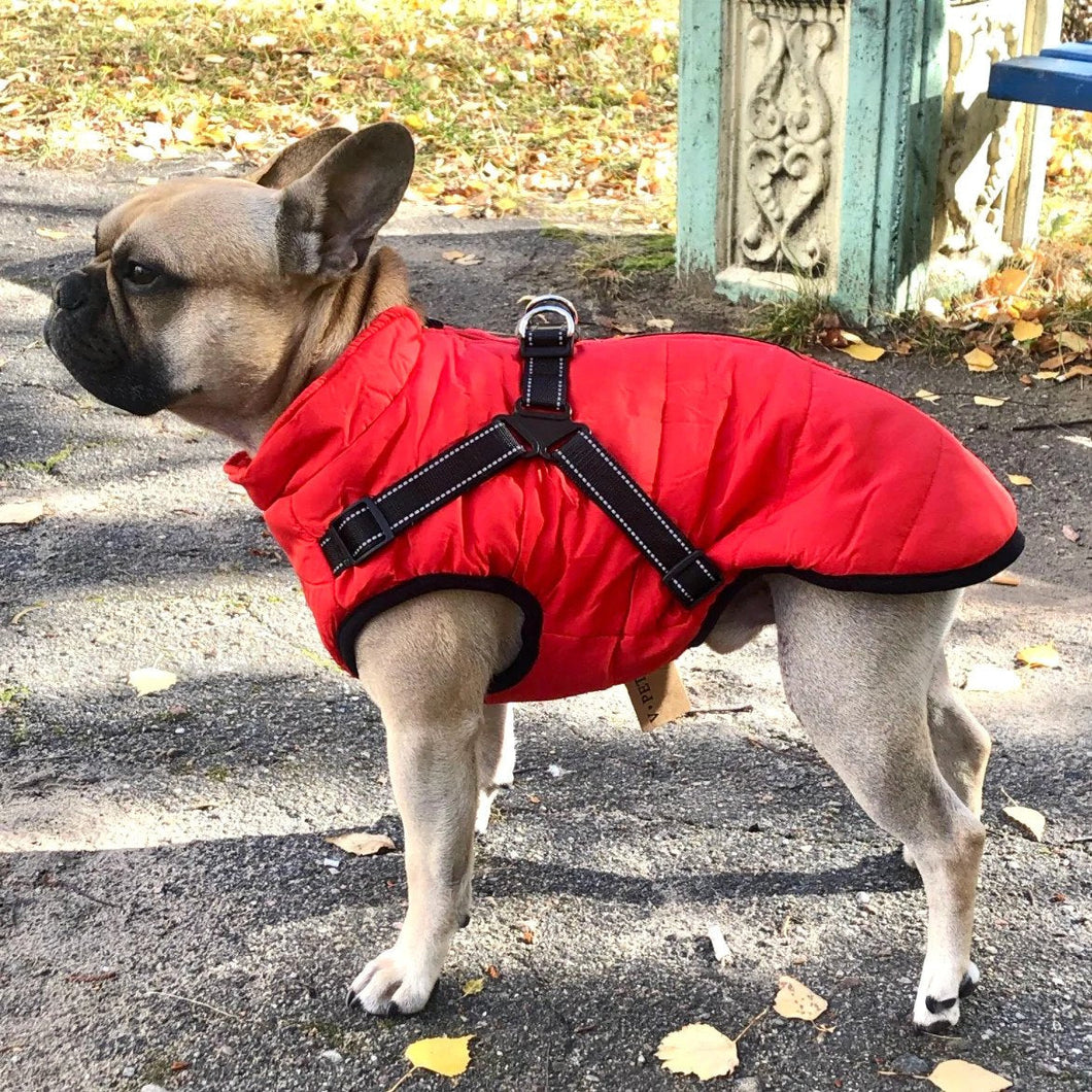 ❥寒い冬対策❥ワンちゃんのためのスキーウェア犬用ジャケットコート★